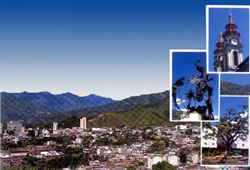 Information about Ibague
